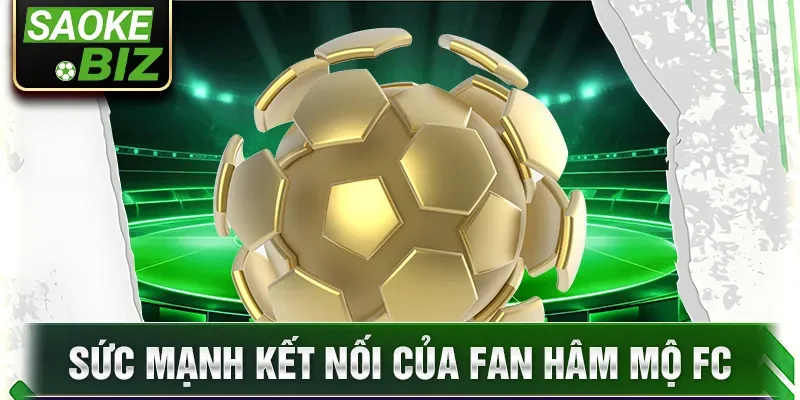 Sức mạnh kết nối của fan hâm mộ FC